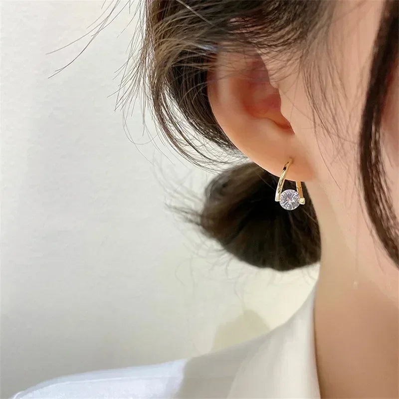 Round Zircon Simple Dangle Earrings
