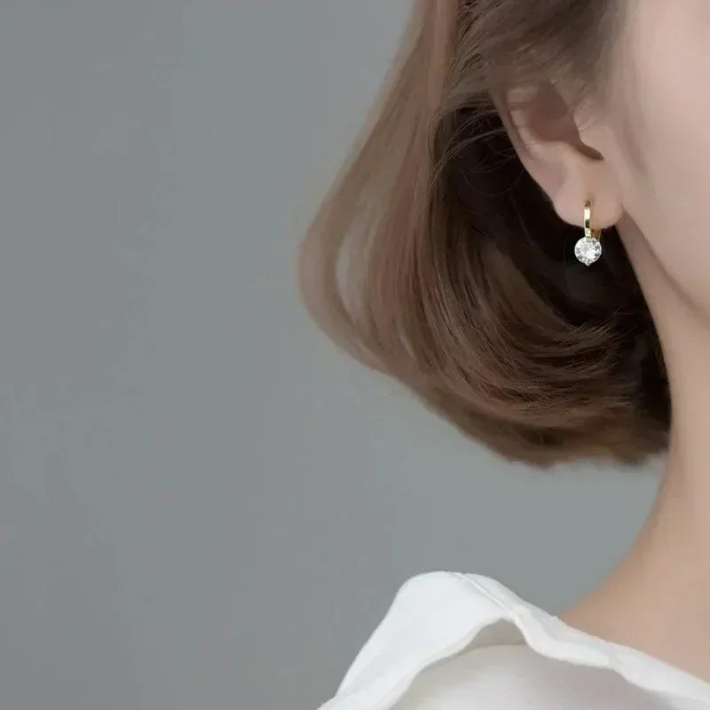 Round Zircon Simple Dangle Earrings